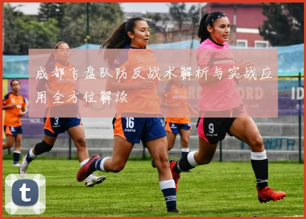 成都飞盘队防反战术解析与实战应用全方位解读